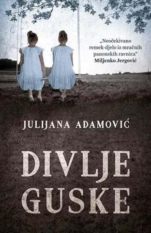 Potresna priča o odrastanju i identitetu – „Divlje guske“ u prodaji od 13. jula - slika 1