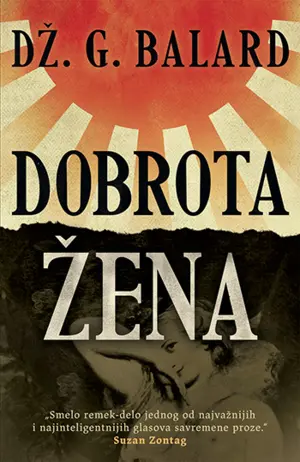 Nakon rata: prikaz romana „Dobrota žena“ - slika 1