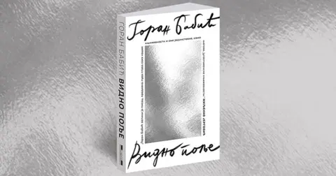 Goran Babić: Ne verujem u sistem u kojem fukara može legalno da pogubi genija - slika 2