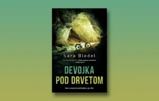 Prikaz romana „Devojka pod drvetom“: Poetičke inovacije