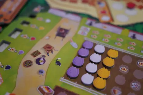 Sve što ste hteli da znate o društvenoj igri „Dolina vetrenjača“: Gde cvetaju najlepše lale? - slika 4