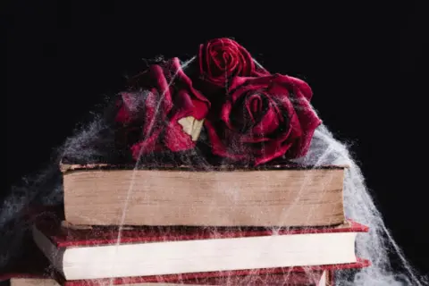 close-up-roses-books-with-spider-web-23-21482735351