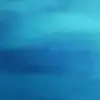Baner-Nova-Laguna-Macka-i-zen-800x800px