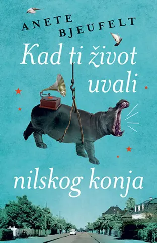 Divni i starinski debitantski roman - slika 1