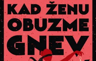 Prikaz romana „Kad ženu obuzme gnev“: Osveta i posledice