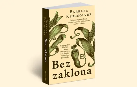 Barbara Kingsolver o istoriji, braku i politici - slika 1