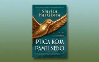 Prikaz romana „Ptica koja pamti nebo“ Slavice Mastikose: Potraga za (P)Ticom