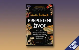 Iz prve ruke – „Prepleteni život“: Ključ za razumevanje života