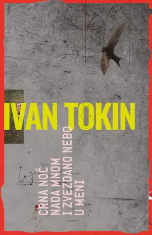 Prikaz romana „Crna noć nada mnom i zvezdano nebo u meni“: Ubica umetničkog srca - slika 1