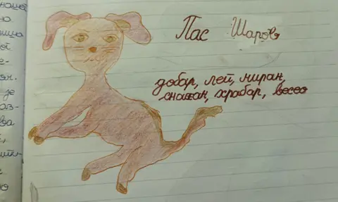 Prikaz mladih kritičara: „Doživljaji mačka Toše“ - slika 2