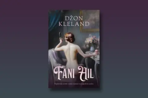 Prikaz romana „Fani Hil“: Telo ne ume da laže - slika 1
