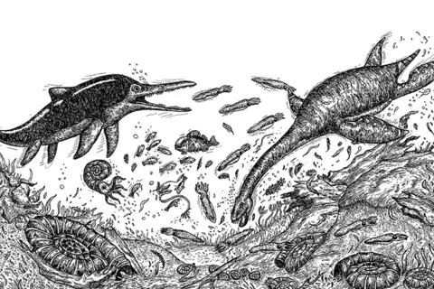 Dušan Krtolica, srpsko čudo od deteta, zadivilo planetu svojim crtežima - slika 3