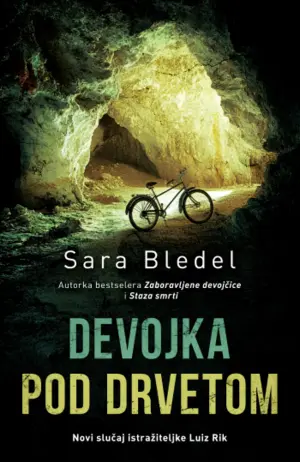 Prikaz romana „Devojka pod drvetom“: Poetičke inovacije - slika 1