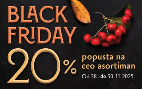 800x500px-Black-Friday-2025