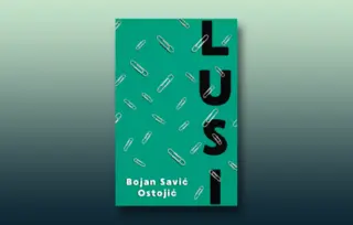 Prikaz romana „Lusi“ Bojana Savića Ostojića: Heroji ljubavi