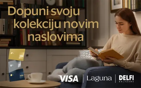 visa11