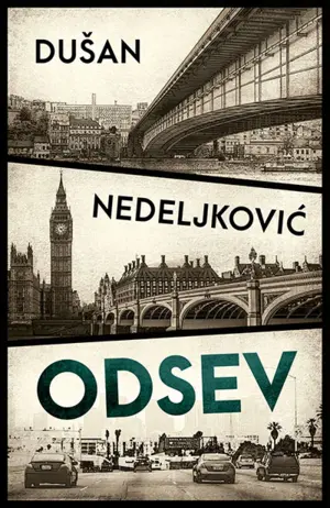 Prikaz romana „Odsev“ Dušana Nedeljkovića - slika 1