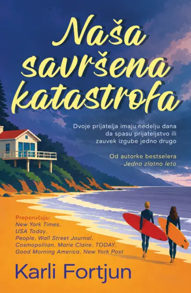 Slika 0 - Naša savršena katastrofa