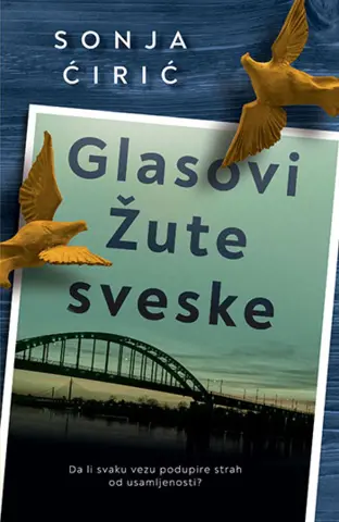 Prikaz romana Sonje Ćirić „Glasovi Žute sveske“ - slika 1