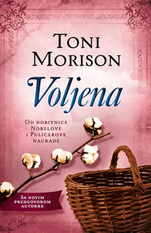 30 godina od objavljivanja romana Toni Morison „Voljena‟ - slika 1
