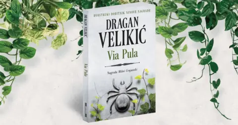 Dragan Velikić: Ukinuli smo zdrav razum - slika 2