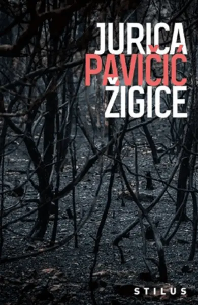Slika 0 - Žigice
