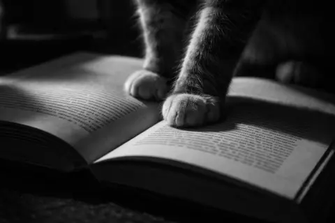 Majstor20i20Margarita20AI