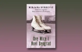 Prikaz romana „Dve Mice i Novi Beograd“