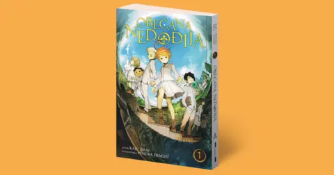 Mateja Matić, prevodilac: „Obećana Nedođija“ – kada sirotište postane zamka - slika 1