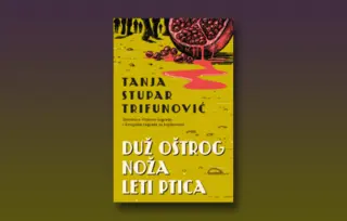 Prikaz romana „Duž oštrog noža leti ptica“: Rat u očima deteta