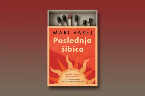 Prikaz romana „Poslednja šibica“: Iskra nade u najmračnijim trenucima - slika 1