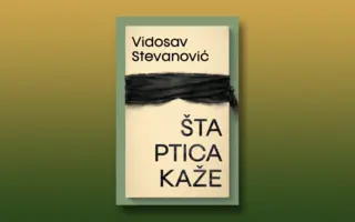 Prikaz romana „Šta ptica kaže“: Mrtva usta govore