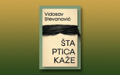 Sta-ptica-kaze