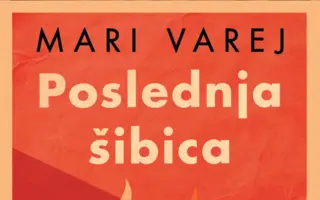 Smeh, strah i suze u novom bestseler romanu Mari Varej – „Poslednja šibica“ u prodaji od 9. marta