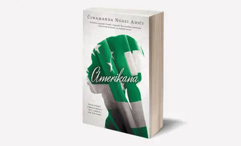 Čimamanda Ngozi Adiči govori o romanu „Amerikana“ i dobijanju nagrade „The One Book, One New York“ - slika 2