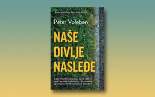Prikaz knjige „Naše divlje nasleđe“ Petera Volebena: Divljina nam je suđena