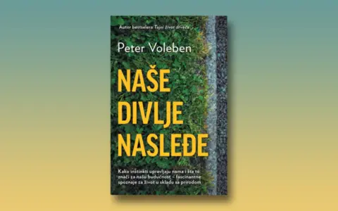 nae-naslee-1400