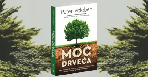 Peter Voleben: Zaštita drveća je i zaštita ljudi - slika 2