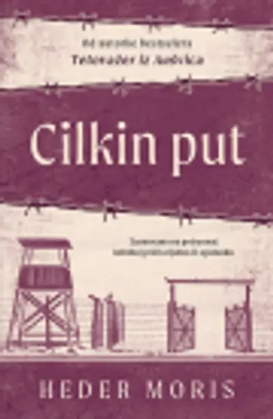 Slika 0 - Cilkin put