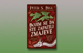 Prikaz romana „Bojim se da ste zapatili zmajeve“: (Ne)prijatelj zmajeva na zadatku