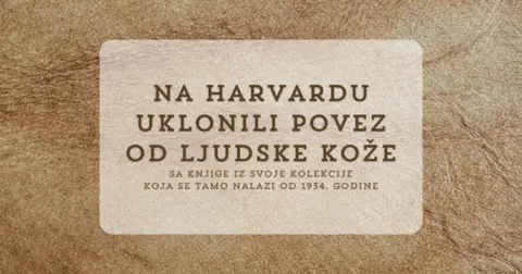 image.psd32124