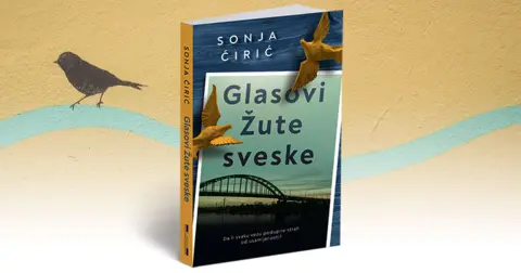 Sonja Ćirić: Prepisujem život - slika 2