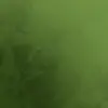 Baner-Nova-Laguna-Zmajev-uzlet-800x800px