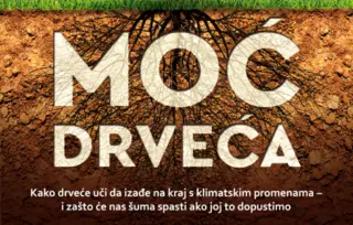 Prikaz knjige „Moć drveća“: Zasnovani optimizam