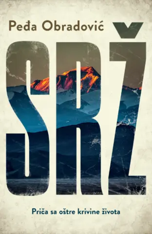 Prikaz romana „Srž“: Sva su jutra u bolnici siva - slika 1