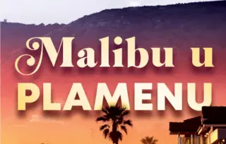 Prikaz romana „Malibu u plamenu“: Požar i vaskrsnuće
