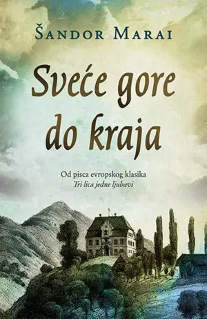 Prikaz romana „Sveće gore do kraja“ – Romaneskna studija - slika 1